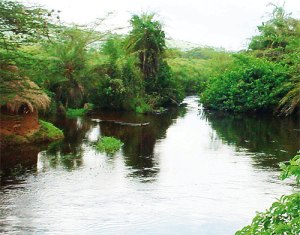 Mayanja River